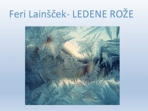 Feri Lainek LEDENE ROE Feri Lainek Rodil se