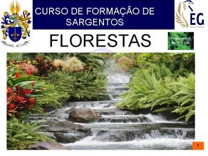 CURSO DE FORMAO DE SARGENTOS FLORESTAS 1 COMPETNCIA