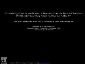 Endothelial HypoxiaInducible Factor1 Is Required for Vascular Repair