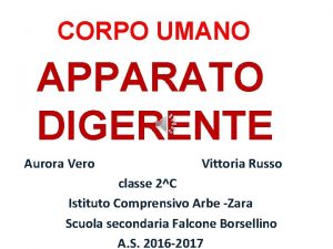 CORPO UMANO APPARATO DIGERENTE Aurora Vero Vittoria Russo