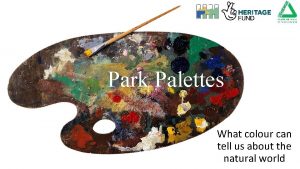 Park Palettes What colour can tell us about
