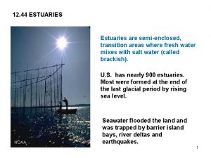12 44 ESTUARIES Estuaries are semienclosed transition areas