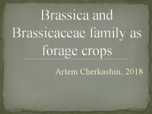 Brassica and Brassicaceae family as forage crops Artem