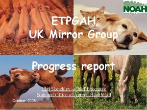 ETPGAH UK Mirror Group Progress report Phil Sketchley