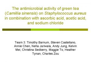 The antimicrobial activity of green tea Camillia sinensis