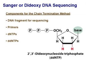 Sanger or Dideoxy DNA Sequencing Components for the