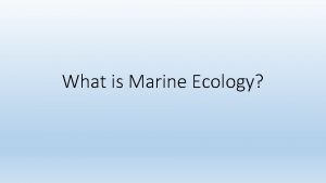 What is Marine Ecology Ecology is the study