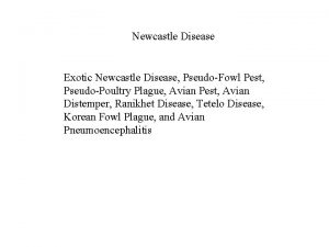 Newcastle Disease Exotic Newcastle Disease PseudoFowl Pest PseudoPoultry