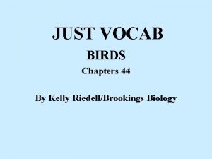 JUST VOCAB BIRDS Chapters 44 By Kelly RiedellBrookings