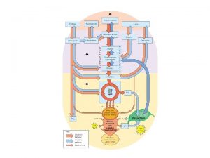 Se siamo in un digiuno prolungato oppure introduciamo