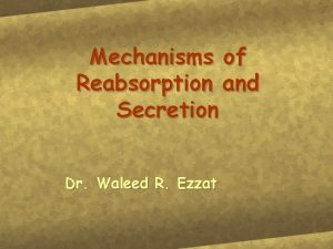 Mechanisms of Reabsorption and Secretion Dr Waleed R