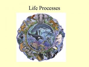 Life Processes Life ProcessesActivities These are the processes