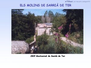 in TERnet un recurs compartit ELS MOLINS DE