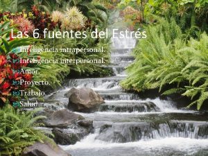 Las 6 fuentes del Estrs Inteligencia intrapersonal Inteligencia