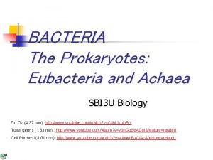 BACTERIA The Prokaryotes Eubacteria and Achaea SBI 3