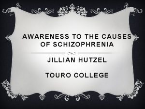 AWARENESS TO THE CAUSES OF SCHIZOPHRENIA JILLIAN HUTZEL