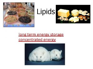 Lipids long term energy storage concentrated energy 3