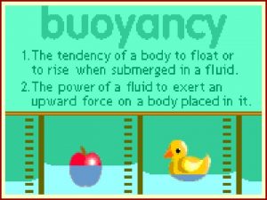 Archimedes Principle Greek mathematician Found that buoyant force