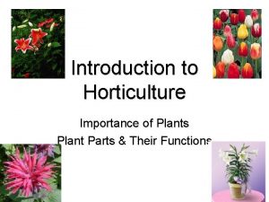 Introduction to Horticulture Importance of Plants Plant Parts