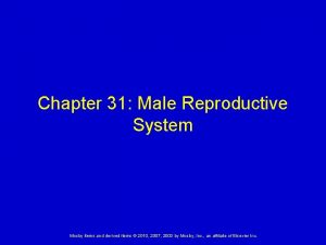 Chapter 31 Male Reproductive System Mosby items and