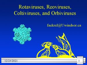 Rotaviruses Reoviruses Coltiviruses and Orbiviruses fackrelUwindsor ca 12242021