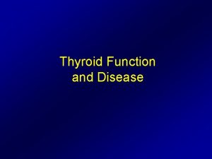 Thyroid Function and Disease Anatomy of the Thyroid