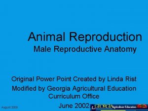 Animal Reproduction Male Reproductive Anatomy Original Power Point