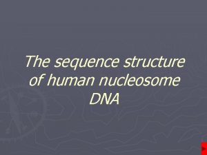 The sequence structure of human nucleosome DNA The