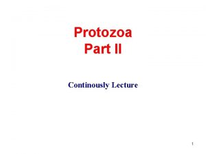 Protozoa Part II Continously Lecture 1 Class Zoomastigophora