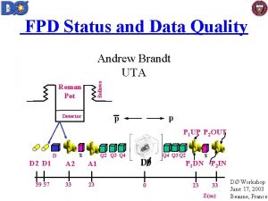 FPD Status and Data Quality Bellows Andrew Brandt