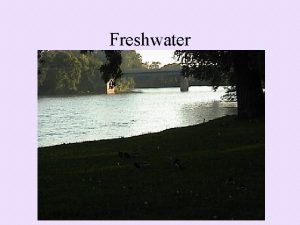 Freshwater The Water Cycle Freshwater If more precipitation
