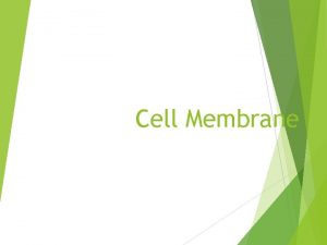 Cell Membrane LETS QUICKLY REVIEW 1 All cells