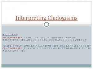 Interpreting Cladograms BIG IDEAS PHYLOGENIES DEPICT ANCESTOR AND