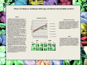 Salinitys Effect on Arabidopsis Wild Type and Mutant