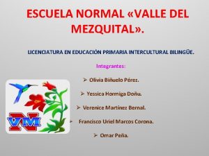 ESCUELA NORMAL VALLE DEL MEZQUITAL LICENCIATURA EN EDUCACIN
