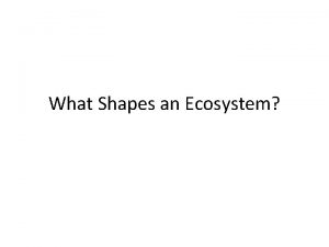 What Shapes an Ecosystem Biotic and Abiotic Factors