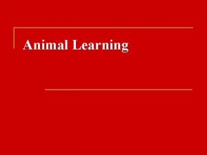 Animal Learning Learning Definition A relatively specific and