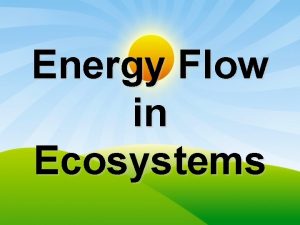 Energy Flow in Ecosystems Components of an Ecosystem