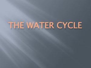 THE WATER CYCLE Vocabulary Words Water cycle Precipitation