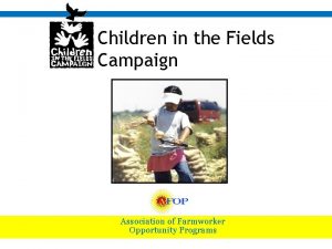 Children in the Fields Campaign Association of Farmworker