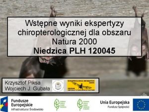 Wstpne wyniki ekspertyzy chiropterologicznej dla obszaru Natura 2000