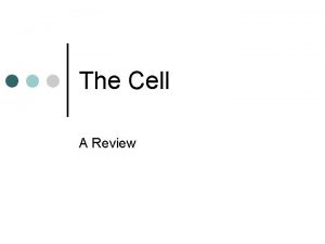 The Cell A Review The Cell Robert Hooke