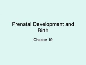 Prenatal Development and Birth Chapter 19 Conception and
