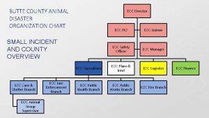 BUTTE COUNTY ANIMAL DISASTER ORGANIZATION CHART EOC Director