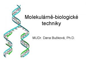 Molekulrnbiologick techniky MUDr Dana Bukov Ph D Molekulrn