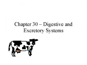 Chapter 30 Digestive and Excretory Systems Lets hear