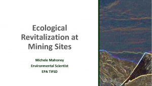 Ecological Revitalization at Mining Sites Michele Mahoney Environmental