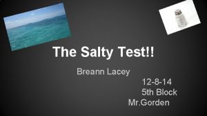 The Salty Test Breann Lacey 12 8 14