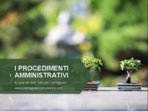 1 I PROCEDIMENTI AMMINISTRATIVI A cura del dott