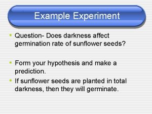 Example Experiment Question Does darkness affect germination rate